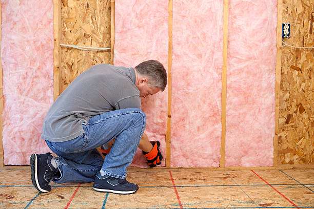 Types of Insulation We Offer in DE